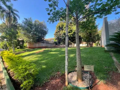 Lote/Terreno à venda, 1049m² no Jardim Chapadão, Campinas