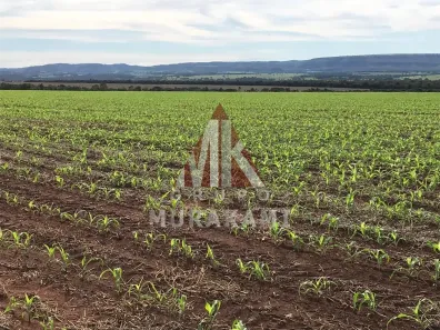 Fazenda/Sítio com 1 Quarto à venda, 2546m² no , Rio Verde de Mato Grosso