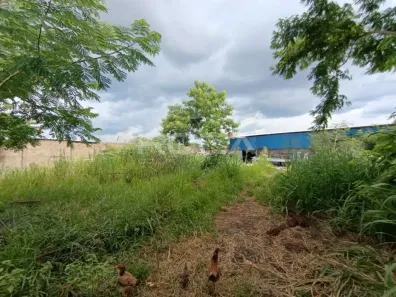 Lote/Terreno para alugar, 1460m² no Vila Carvalho, Ribeirão Preto