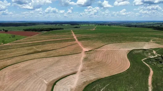 Fazenda/Sítio com 5 Quartos à venda, 558m² no Área Rural de Bauru, Bauru
