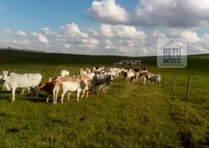 Fazenda/Sítio à venda, 10600000m² no Alvorada, Araxá