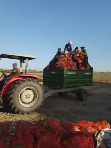 Fazenda/Sítio com 3 Quartos à venda, 340000m² no , Jandaíra