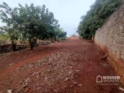 Fazenda/Sítio com 1 Quarto à venda, 1000m² no Paiçandu, Paiçandu