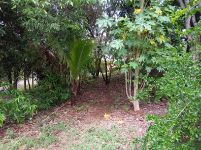 Fazenda/Sítio com 3 Quartos à venda, 185m² no Área Rural de Limeira, Limeira