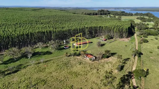 Fazenda/Sítio à venda, 10m² no Área Rural de Paranapanema, Paranapanema
