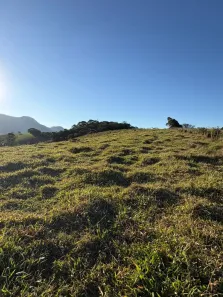 Lote/Terreno à venda, 115000m² no , Dom Viçoso