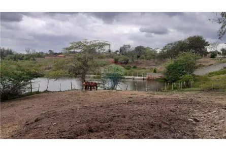 Fazenda/Sítio à venda, 450m² no Alpes Suiços, Gravatá