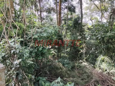 Lote/Terreno à venda, 5442m² no Apolinário, Mairiporã
