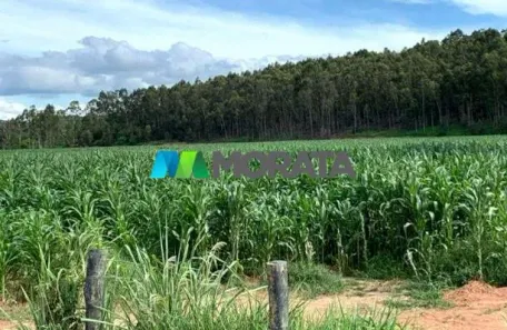 Fazenda/Sítio com 1 Quarto à venda, 1456m² no Centro, Ponte Nova