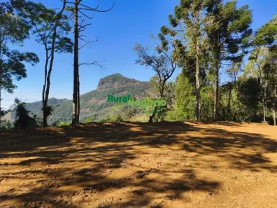 Fazenda/Sítio à venda, 7000m² no Centro, Guaratinguetá