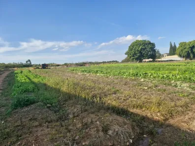 Lote/Terreno à venda, 7500m² no Parque Santa Cecília, Piracicaba