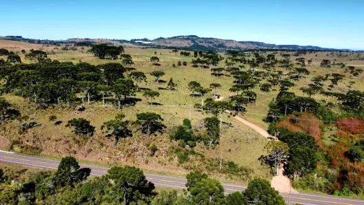 Fazenda/Sítio à venda, 11000m² no , Urupema