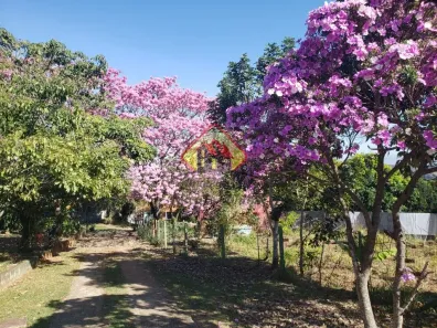Fazenda/Sítio com 4 Quartos à venda, 26000m² no Barreiro, Taubaté