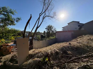 Lote/Terreno à venda, 290m² no Jardim das Paineiras, Campinas
