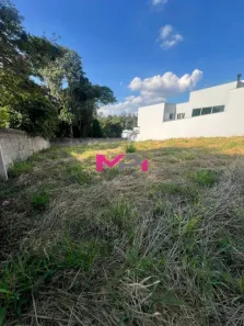 Lote/Terreno à venda, 350m² no Jardim Quintas das Videiras, Jundiaí