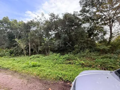 Lote/Terreno à venda, 300m² no Gaivota (Interior), Itanhaém