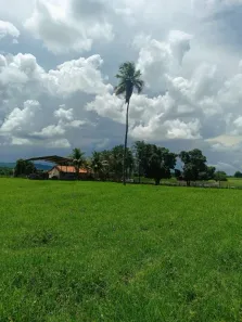 Fazenda/Sítio com 3 Quartos à venda, 186m² no Itacarambi, Itacarambi