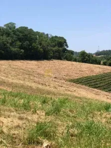 Lote/Terreno à venda, 20052m² no Rio Acima, Jundiaí