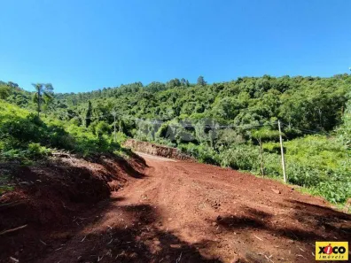 Fazenda/Sítio com 1 Quarto à venda, 5000m² no , Nova Petrópolis