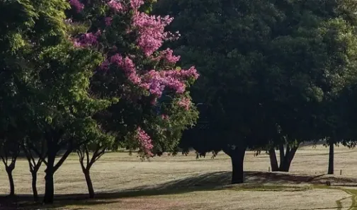 Lote/Terreno à venda, 664m² no Vila do Golf, Ribeirão Preto
