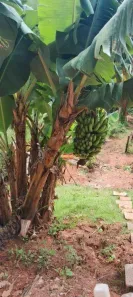 Fazenda/Sítio com 2 Quartos à venda, 500m² no Condomínio Quinta da Baroneza II, Bragança Paulista