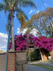 Fazenda/Sítio com 4 Quartos à venda, 420m² no Chácara Flórida, Itu