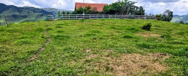 Fazenda/Sítio com 2 Quartos à venda, 6000m² no , Delfim Moreira