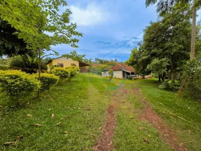 Fazenda/Sítio com 5 Quartos à venda, 20025m² no Irerê, Londrina