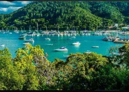 Lote/Terreno à venda, 2700m² no Saco da Ribeira, Ubatuba