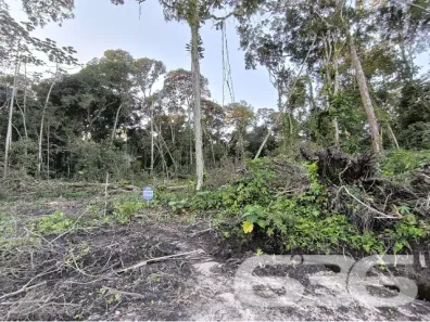 Lote/Terreno à venda, 300m² no Salinas, Balneário Barra do Sul