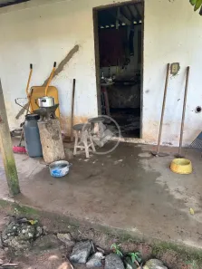 Fazenda/Sítio à venda, 9m² no , Bela Vista de Goiás
