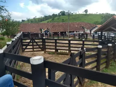 Fazenda/Sítio à venda, 3218600m² no Vila Antônio Augusto Luiz, Caçapava