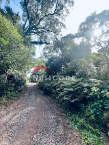 Lote/Terreno à venda, 800m² no Centro, São Francisco de Paula