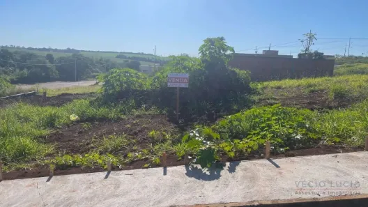 Lote/Terreno à venda, 300m² no Paraíso, Ibiporã
