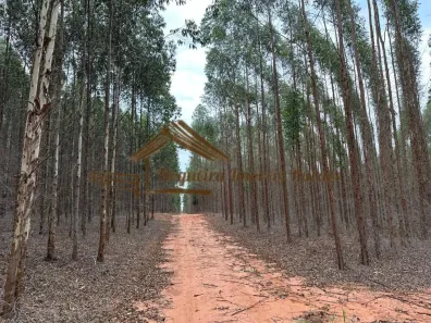Fazenda/Sítio à venda, 1m² no Área Rural de Bauru, Bauru