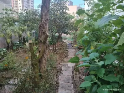 Lote/Terreno à venda, 200m² no Vila Assunção, Santo André