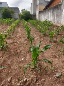 Lote/Terreno à venda, 150m² no Cézar de Souza, Mogi das Cruzes