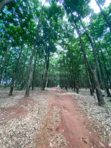 Fazenda/Sítio com 2 Quartos à venda, 150m² no Centro, Poloni