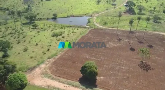 Fazenda/Sítio com 4 Quartos à venda, 792m² no , Baldim