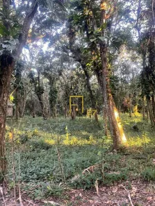 Lote/Terreno à venda, 1300m² no Cananéia, Cananéia
