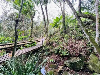 Fazenda/Sítio com 3 Quartos à venda, 118m² no Vargem do Bom Jesus, Florianópolis