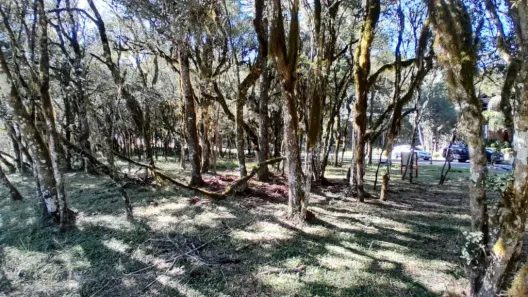Lote/Terreno à venda, 931m² no , Canela