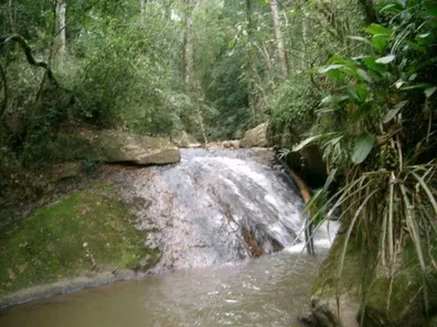 Fazenda/Sítio com 1 Quarto à venda, 20000m² no Sousas, Campinas