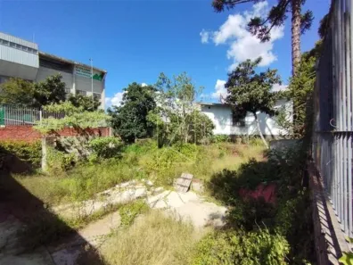 Lote/Terreno à venda, 800m² no Centro, Caxias do Sul