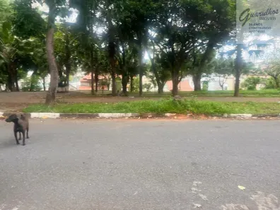 Lote/Terreno à venda, 250m² no Parque Renato Maia, Guarulhos