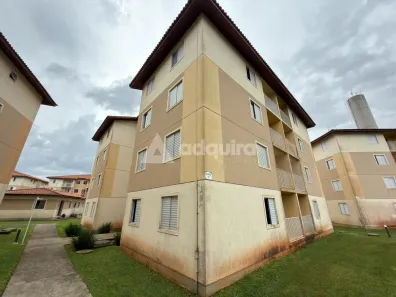 Apartamento com 3 Quartos para alugar, 68m² no Uvaranas, Ponta Grossa