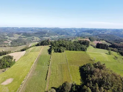 Lote/Terreno à venda, 59000m² no , Bento Gonçalves