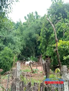 Lote/Terreno à venda, 2767m² no Vila Celina, São Carlos
