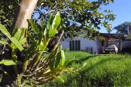 Fazenda/Sítio com 2 Quartos para alugar, 1020m² no Tanquinho, Itapira