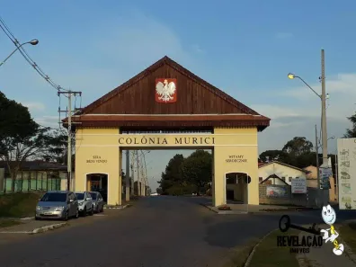 Fazenda/Sítio à venda, 171520m² no Colônia Murici, São José dos Pinhais